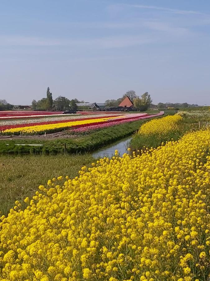 Achterom 7 Bed & Breakfast Hoorn  Eksteriør bilde